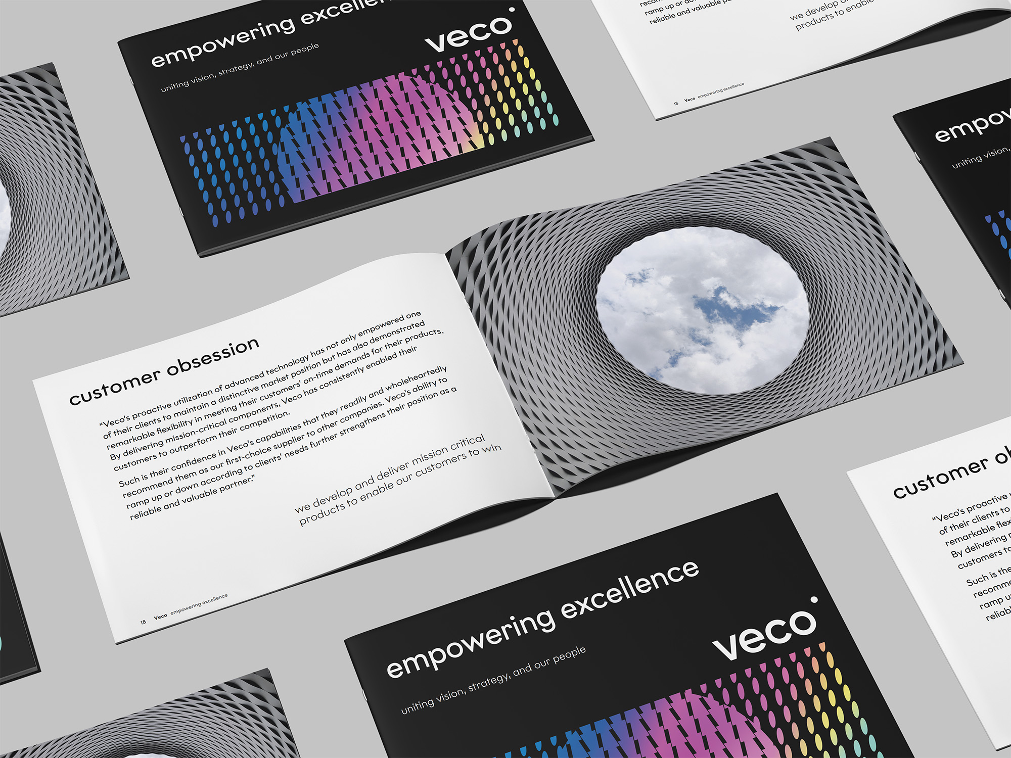 veco-brand-book