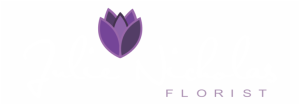 jnlogo-e1417784820510-768x271-1.png